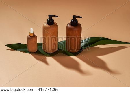 Set Of Wooden Bottles Or Containers Of Different Sizes On Green Leaf Isolated On Beige Background. Z