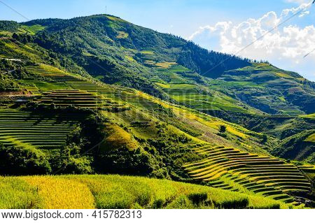 A Beautiful Terraced Field Plot In Tua Chua District, Dien Bien Province, Vietnam