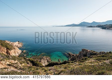 Wild Flowers In Bloom In The Maquis By A Small Pebble Beach On The Coast Of La Revellata In The Bala