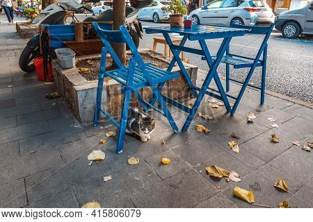 Cat Under Blue Chair In Kuzguncuk. Kuzguncuk Is A Neighborhood In The Uskudar District In Istanbul, 