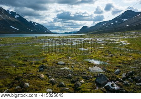 Swedish Lapland landscape. lake Reaiddajavri in Stuor Reaiddavaggi valley in northern Sweden. Arctic mountain environment of Scandinavia in cloudy summer day
