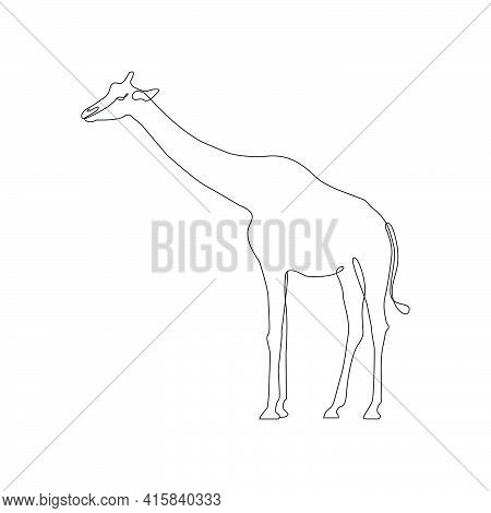 Minimalist One Line Giraffe Icon. Line Drawing Animal Tattoo. Giraffe One Line Hand Drawing Continuo