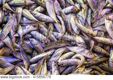 Fresh Fishes For Sales In Turkish Market In Antalya, Turkey
