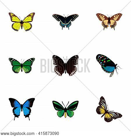 Set Of Beauty Realistic Symbols With Green Peacock, Beauty Fly, Checkerspot And Other Icons For Your