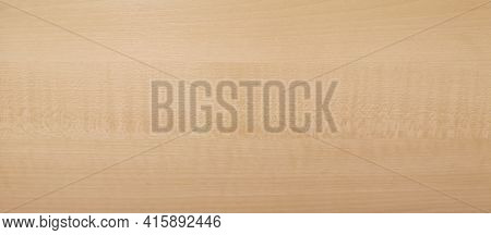 Brown Color Wood Wall Material Burr Surface Texture On Black Background Pattern Abstract Wooden, Top