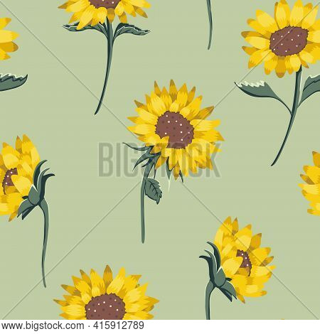 Vector Sunflowers In Natural Colosr On Soft Pastel Green Seamless Pattern Background. Perfect For Fa