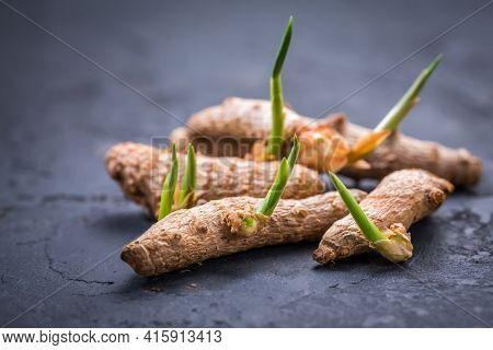 Curcuma (turmeric root) with fresh rhizomes, ready for planting into soil on black stone background