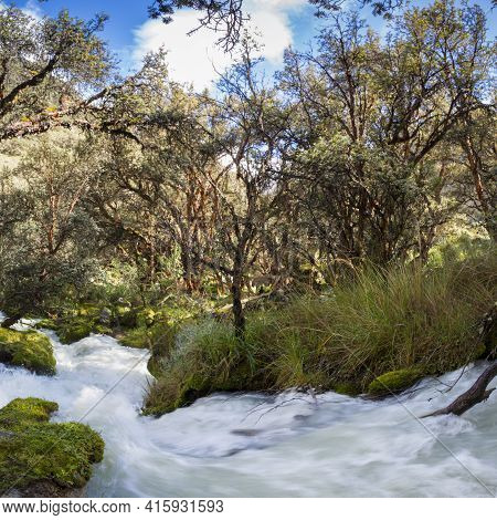River And Lush Green Forest Near Huaraz In Cordillera Blanca, Peru