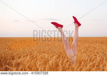 Slender Female Legs In Red Shoes Sticking Out Of Wheat Field. Gluten Free Concept.
