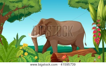 Illustration av en stor elefant i djungeln