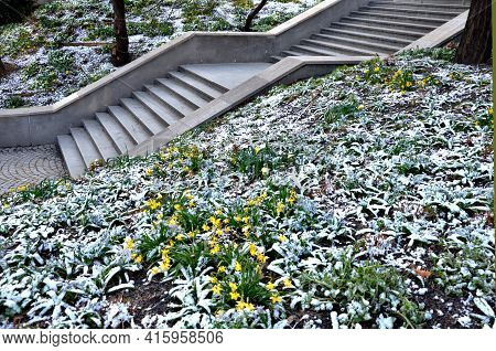 Retaining Wall At The Large Staircase In The Park Is A Flowerbed Area Planted With Rich Greenery Per