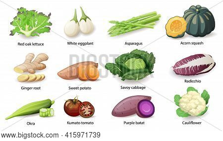 Vegetables With Caption Titles Set, Vector Flat Style Illustration.