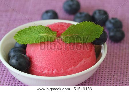 Forest fruit sorbet with fresh blueberries, close up