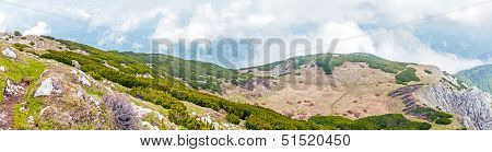 The mountain trail
