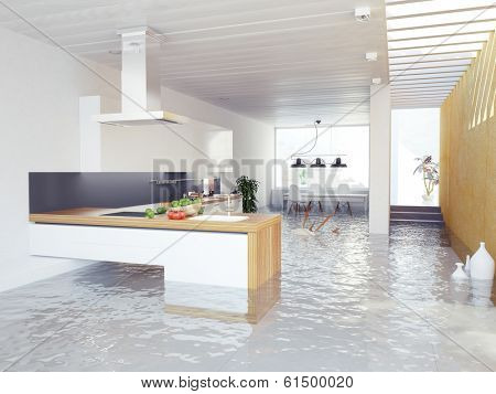flooding kitchen modern interior (3D concept)