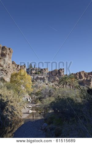 Creek In Mountain Desert, Arizona