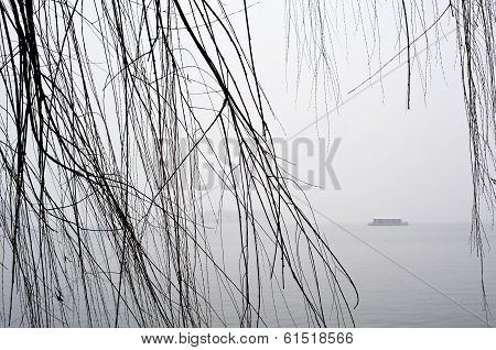 Willow Tree And Tourist Boat, West Lake In Winter, Hangzhou