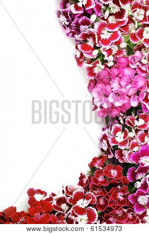 Abstract flower background