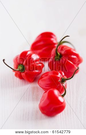 Red Chili Peppers