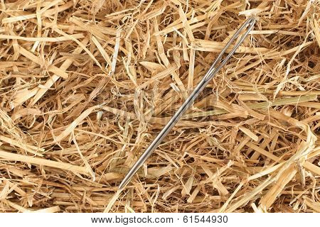 Needle In A Haystack