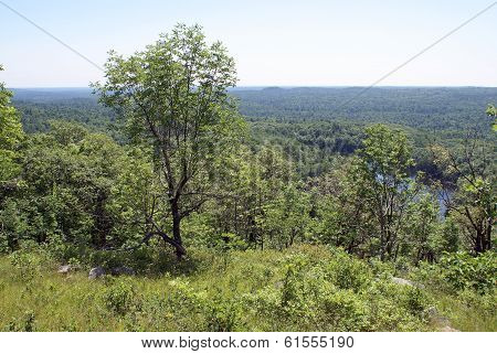 At The Top