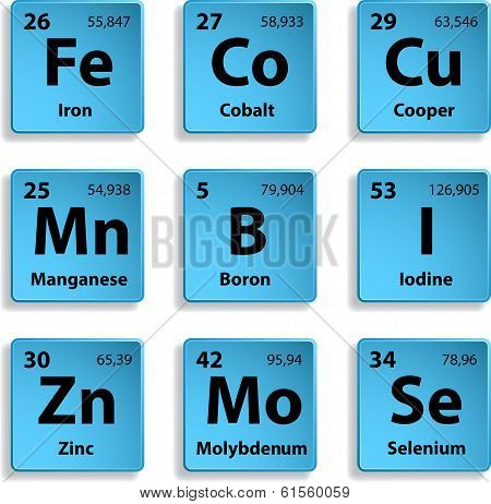 Microelements on blue buttons