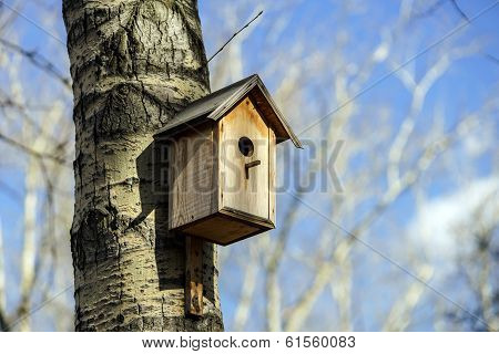New Nesting Box On The Tree