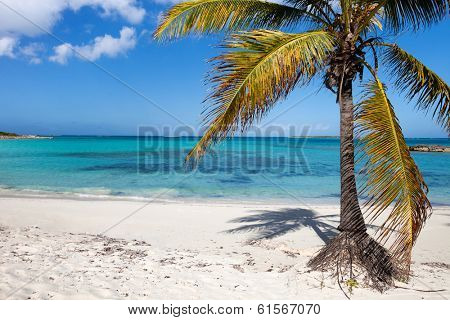 Beautiful tropical beach at Exuma Bahamas