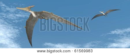 Pteranodon dinosaurs flying - 3D render