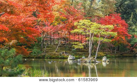 Mirror Pond at Kinkaku-ji temple in Kyoto