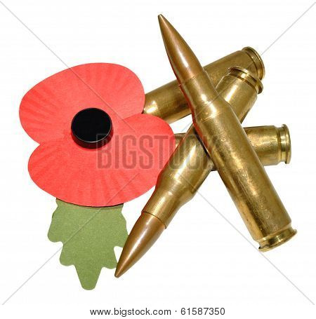 Remembrance Day Poppy And Bullets