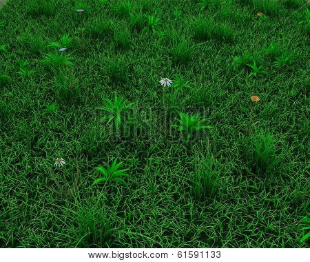 3d render of a spring grass and flowers background