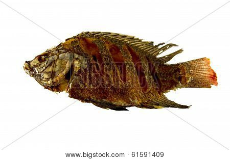 Fried Tilapia