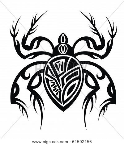 Spider