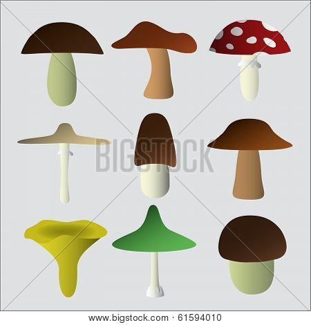 mushroom types symbols eps10