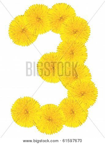 Number 3 Made From Dandelion Flower