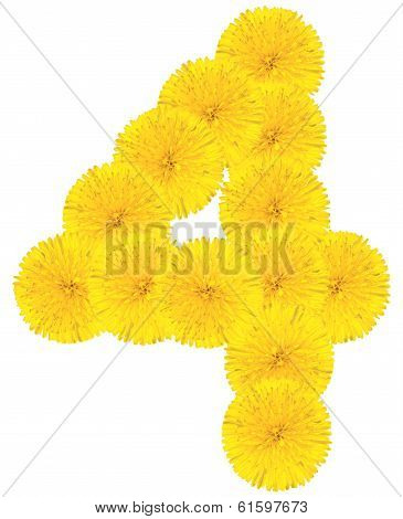 Number 4 Made From Dandelion Flower