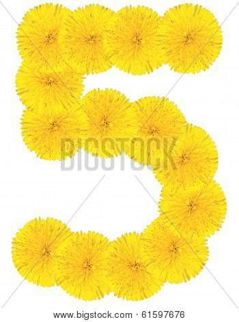 Number 5 Made From Dandelion Flower