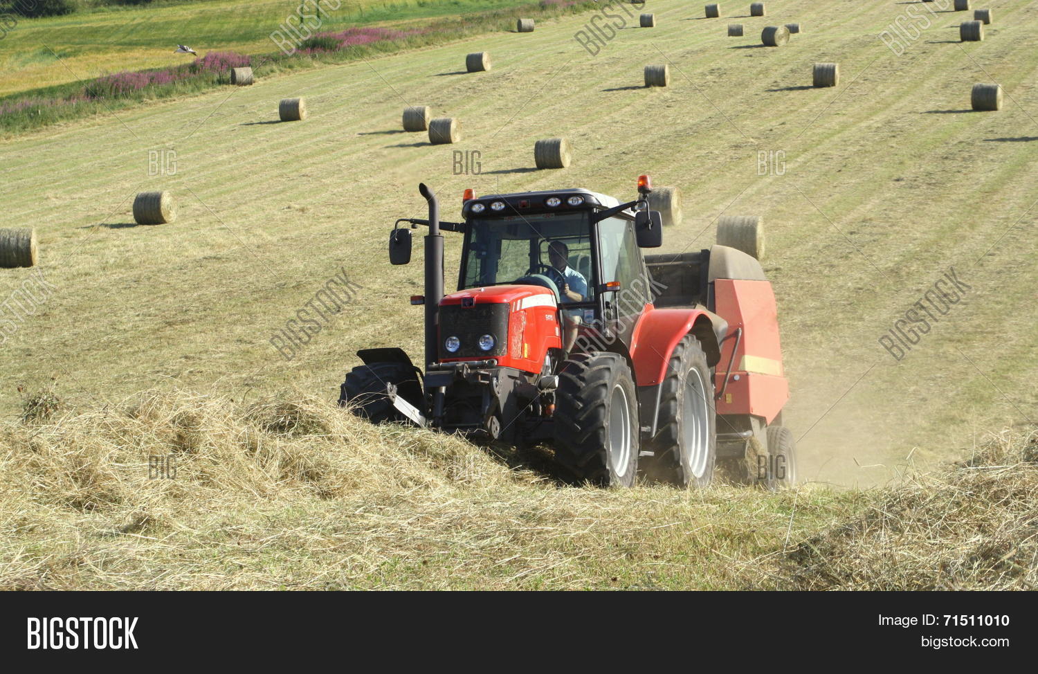 Baling Hay Image & Photo (Free Trial) Bigstock