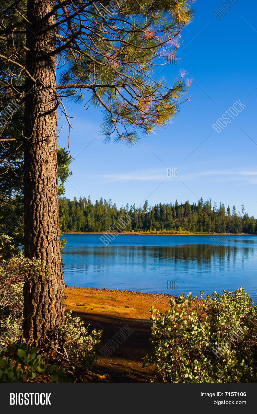 Clear Blue Lake Image & Photo (Free Trial) Bigstock
