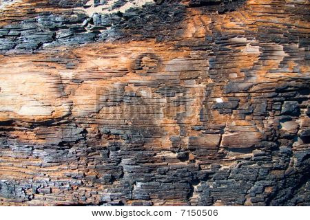 Verbrand hout