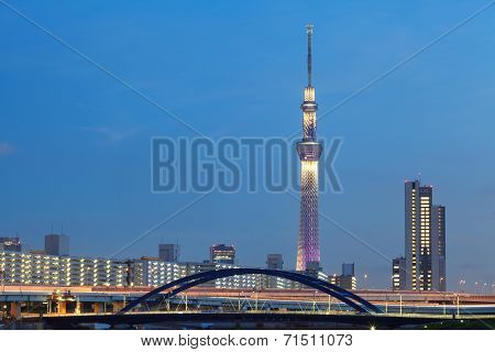 View of Tokyo cityscape at sumida river and Tokyo Skytree