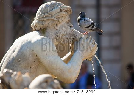 Fontana Del Moro