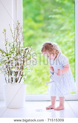 Little Girl Watering Flowers At Home