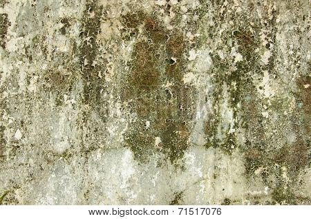 The Old Stained White Wall.