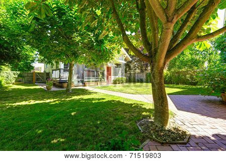 Backyard Garden With Brick Tile Walkway