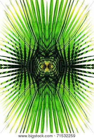 Tropical print in green color.