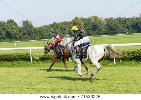 WROCLAW, POLAND - SEPTEMBER 6: Race for 3-year-old Arabian horse group II on 6 September 2014 in Wroclaw, Poland. In the photograph can be seen horses Cassini no. 5 and winner Elaria no. 9. 