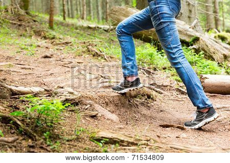 Woman is walking in the forest