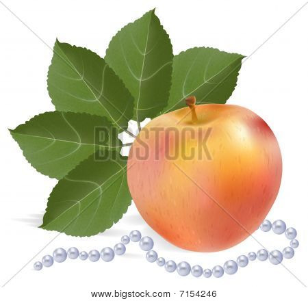 Zátiší s apple fanoušek z listí a perly vlákno